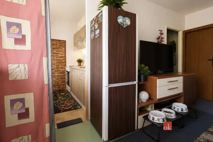 Prodej bytu 1+kk, Pardubice - Polabiny, Lidická, 35 m2