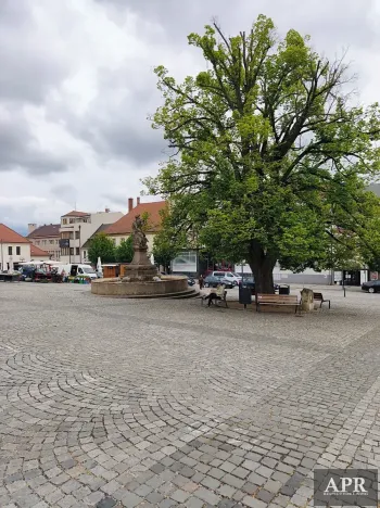 Pronájem obchodního prostoru, Uherský Brod, Masarykovo nám., 50 m2
