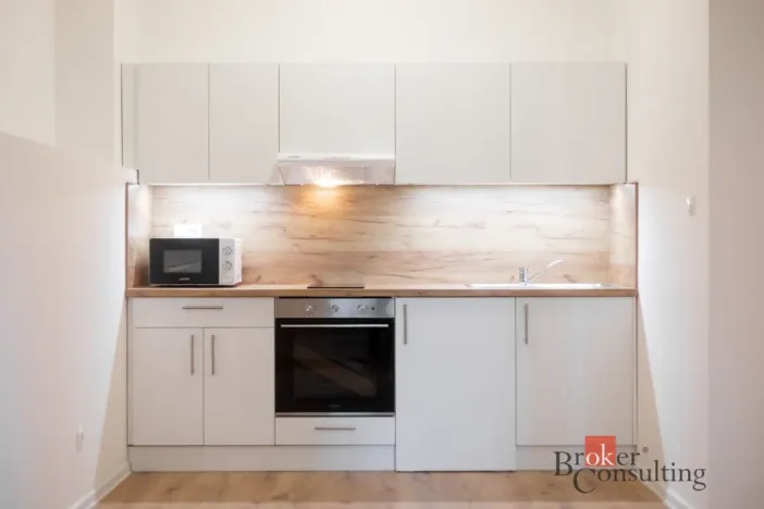 Prodej bytu 1+kk, Ostrava - Přívoz, Palackého, 33 m2
