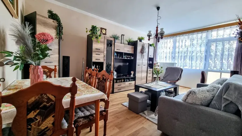 Prodej bytu 2+1, Bílina, M. Švabinského, 55 m2
