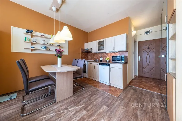 Prodej bytu 1+1, České Budějovice - České Budějovice 2, J. Opletala, 36 m2