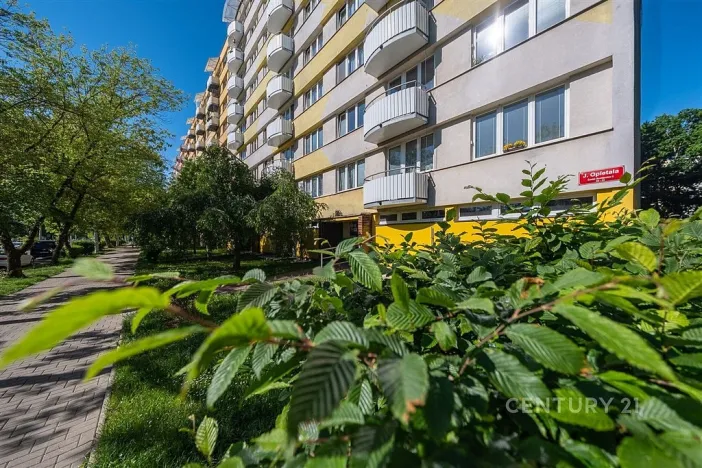 Prodej bytu 1+1, České Budějovice - České Budějovice 2, J. Opletala, 36 m2