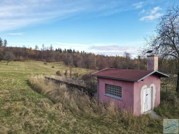 Prodej pozemku pro bydlení, Město Albrechtice, 3681 m2