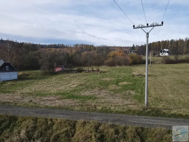 Prodej pozemku pro bydlení, Město Albrechtice, 3681 m2