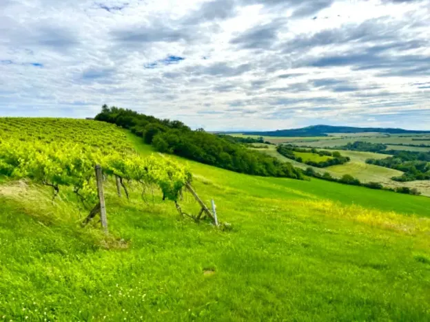 Prodej rodinného domu, Kyjov, 204 m2