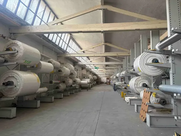 Prodej výrobních prostor, Kraslice, Čs. armády, 17000 m2