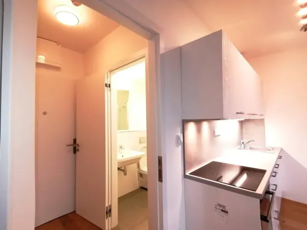 Pronájem bytu 1+kk, Praha - Vinohrady, Perucká, 27 m2
