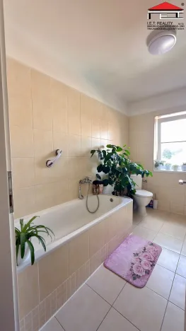 Prodej činžovního domu, Veselí nad Lužnicí, Malé náměstí, 303 m2