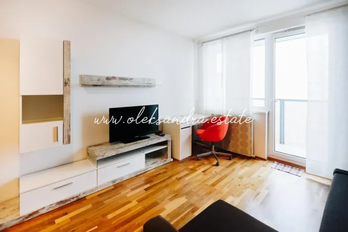 Pronájem bytu 1+kk, Praha - Vysočany, Freyova, 32 m2