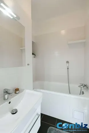 Pronájem bytu 2+1, Praha - Nusle, Doudlebská, 60 m2