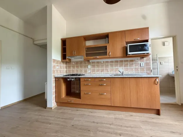 Pronájem bytu 2+1, Praha - Žižkov, Hartigova, 65 m2