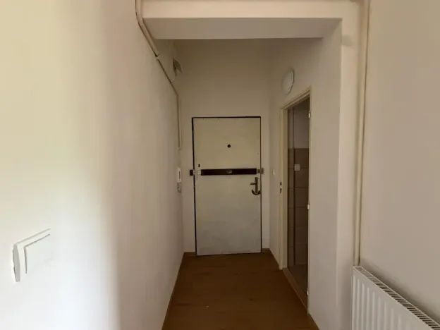 Pronájem bytu 2+1, Praha - Žižkov, Hartigova, 65 m2