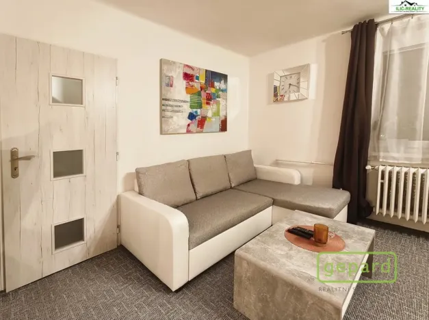 Pronájem bytu 1+1, Plzeň, Arbesova, 36 m2