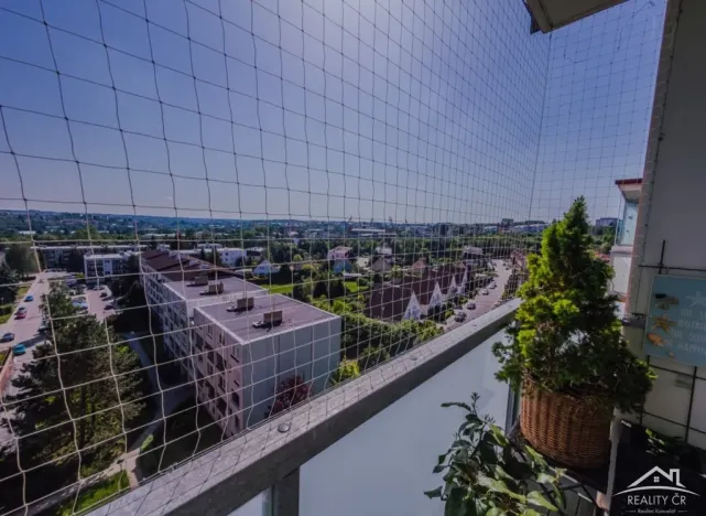 Prodej bytu 1+1, Jihlava, Ortenova, 33 m2