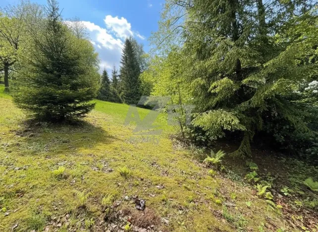 Prodej pozemku pro bydlení, Čeladná, 2937 m2