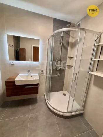 Pronájem bytu 2+1, Opava, Masarykova třída, 52 m2