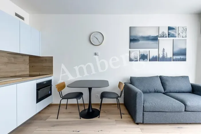 Pronájem bytu 1+kk, Praha - Karlín, Sokolovská, 28 m2