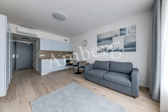 Pronájem bytu 1+kk, Praha - Karlín, Sokolovská, 28 m2