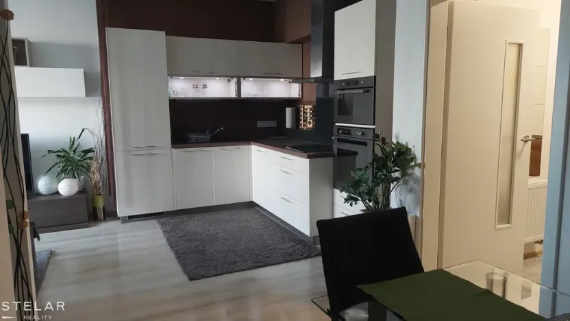 Pronájem bytu 2+kk, Brno - Slatina, Kigginsova, 52 m2