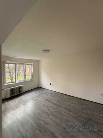 Pronájem bytu 2+1, Bílina, M. Švabinského, 53 m2