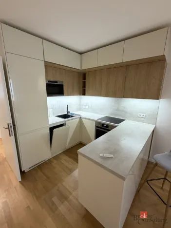 Pronájem bytu 2+kk, Praha - Žižkov, Víta Nejedlého, 48 m2