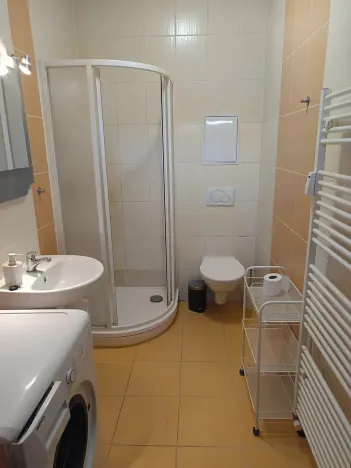 Pronájem bytu 1+kk, Brno, Francouzská, 25 m2