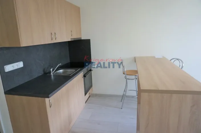 Pronájem bytu 1+kk, České Budějovice - České Budějovice 2, Labská, 27 m2