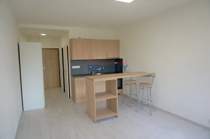 Pronájem bytu 1+kk, České Budějovice - České Budějovice 2, Labská, 27 m2