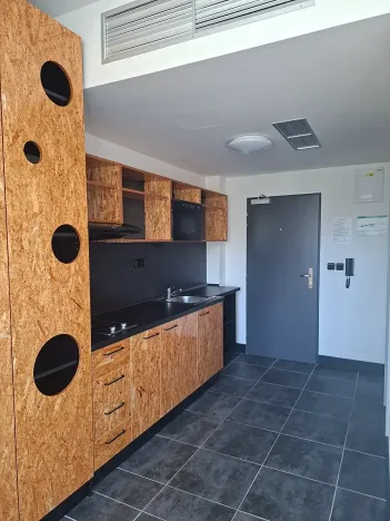 Pronájem bytu 1+kk, Praha, Pod altánem, 33 m2