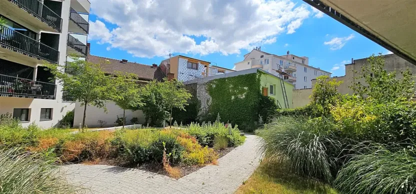 Pronájem bytu 2+kk, Brno, Kollárova, 85 m2