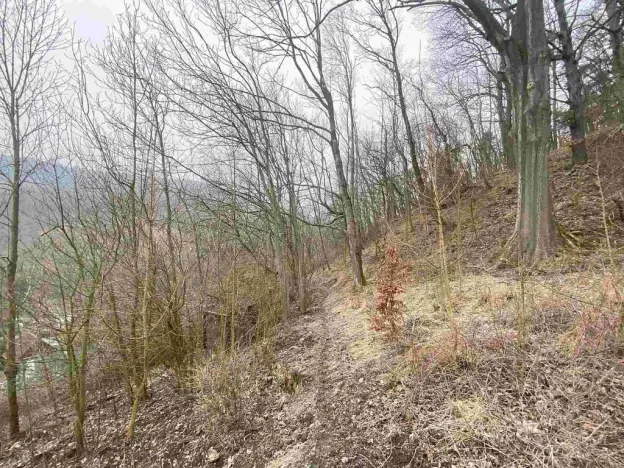Prodej pozemku, Ryjice, 3310 m2