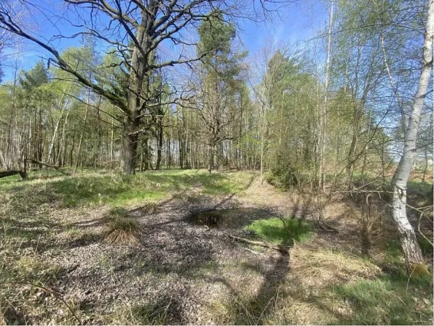 Prodej pozemku, Hranice, 1061 m2