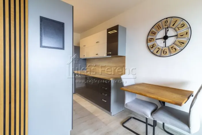 Pronájem bytu 2+kk, Mladá Boleslav - Mladá Boleslav III, Zalužanská, 41 m2
