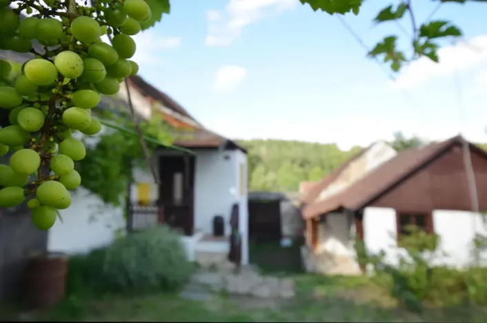 Prodej rodinného domu, Kamberk - Hrajovice, 104 m2