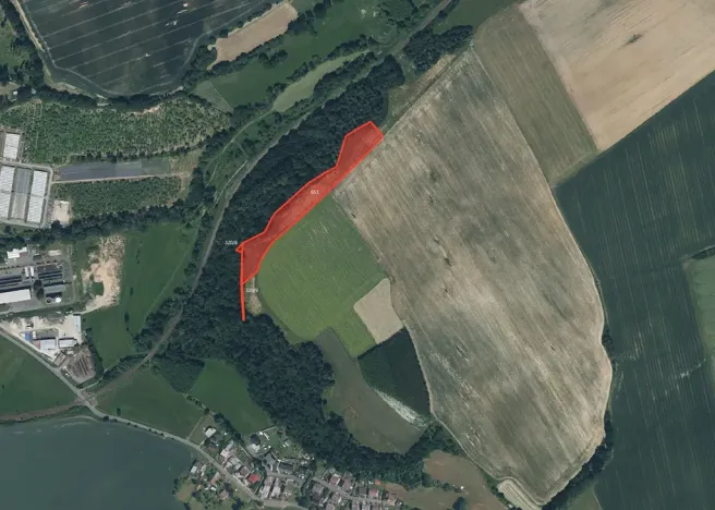 Prodej louky, Zahořany, 9077 m2