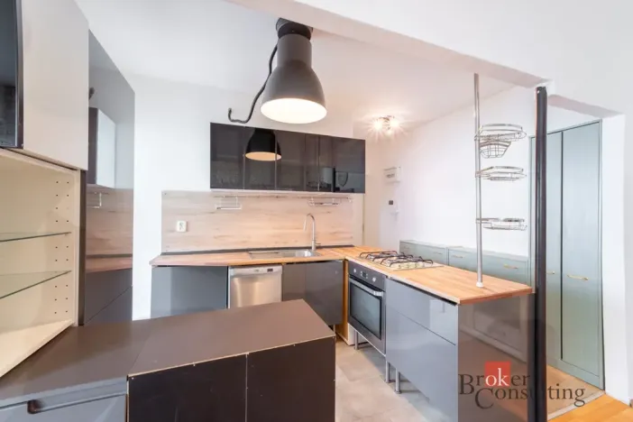 Prodej bytu 2+kk, Brno - Žabovřesky, Pod kaštany, 48 m2