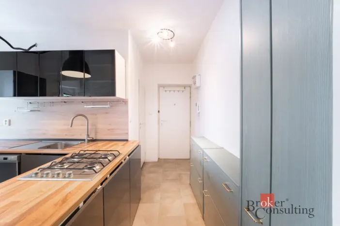 Prodej bytu 2+kk, Brno - Žabovřesky, Pod kaštany, 48 m2