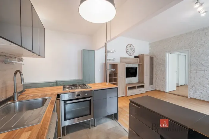 Prodej bytu 2+kk, Brno - Žabovřesky, Pod kaštany, 48 m2