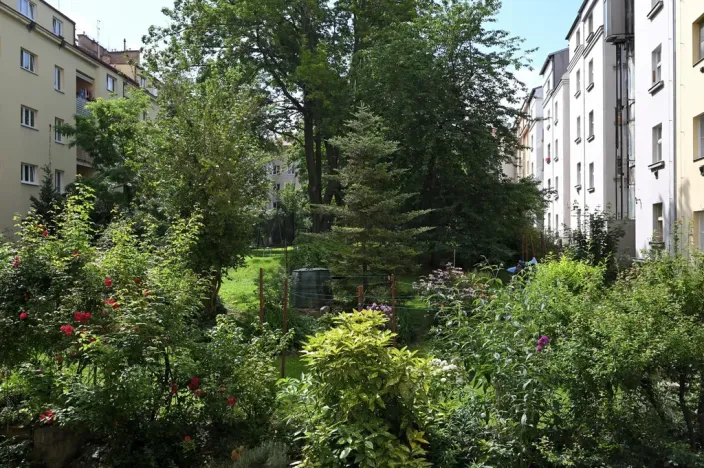 Pronájem bytu 2+1, Praha - Bubeneč, náměstí Interbrigády, 51 m2