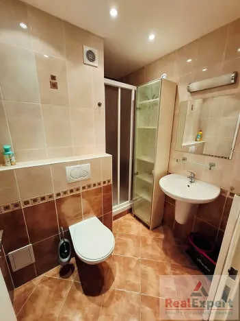 Pronájem bytu 1+kk, Praha - Žižkov, Jeseniova, 20 m2