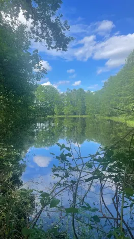 Prodej rybníku, Chlum u Třeboně - Žíteč, 130000 m2