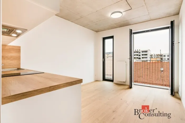 Pronájem bytu 1+kk, Brno, Bratislavská, 26 m2