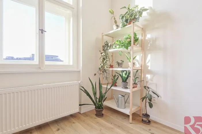Prodej bytu 3+kk, Praha - Žižkov, Hartigova, 69 m2