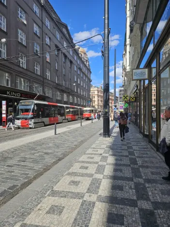 Pronájem obchodního prostoru, Praha - Nové Město, 180 m2