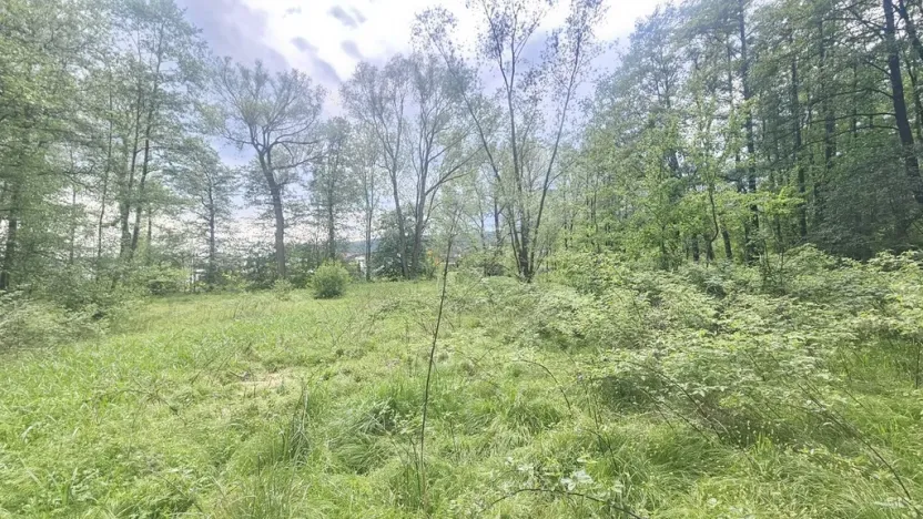 Prodej pozemku, Liberec - Liberec XXIII-Doubí, Malodoubská, 9589 m2