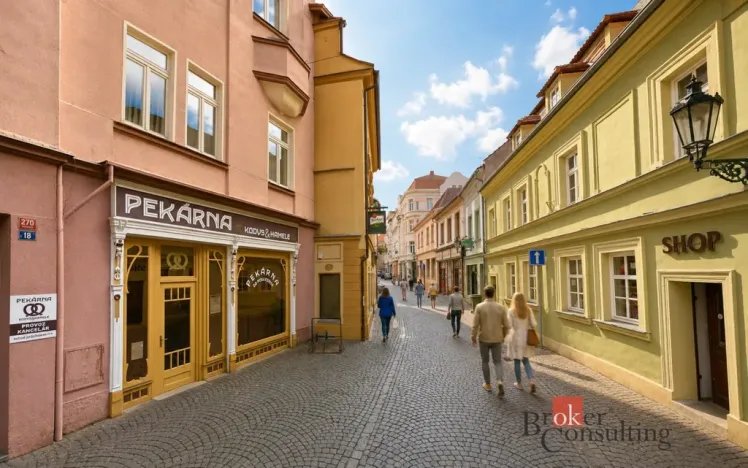 Prodej historického objektu, Litoměřice - Litoměřice-Město, Novobranská, 499 m2