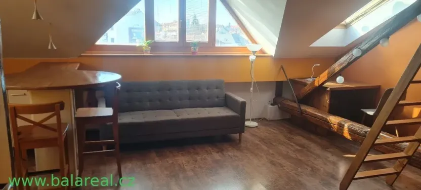 Pronájem bytu 1+kk, Brno, Kohoutova, 50 m2