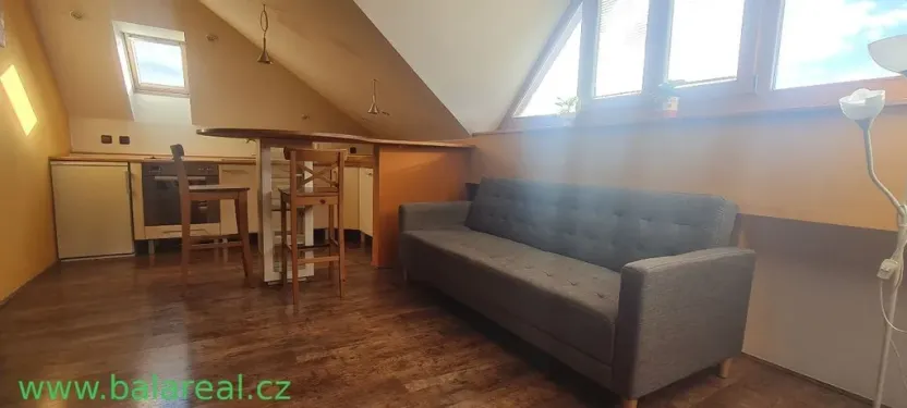 Pronájem bytu 1+kk, Brno, Kohoutova, 50 m2