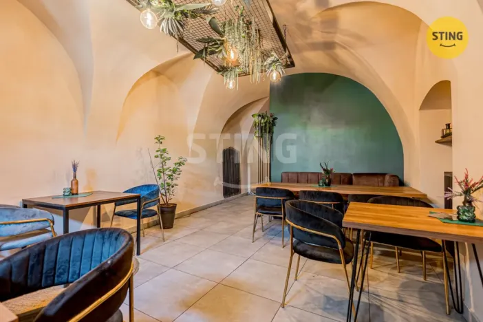 Prodej komerční nemovitosti, Český Těšín, 84 m2
