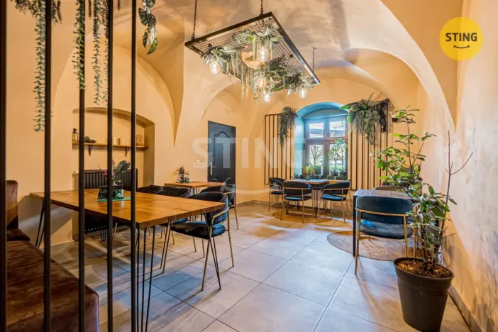 Prodej komerční nemovitosti, Český Těšín, 84 m2